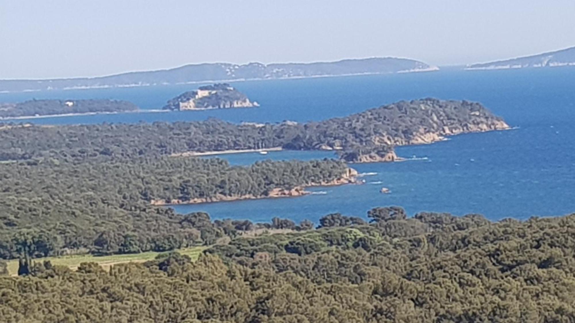 Rez De Jardin T3 Recent Et Calme Au Nouvelles Terres A La Londe Les Maures Appartement Buitenkant foto