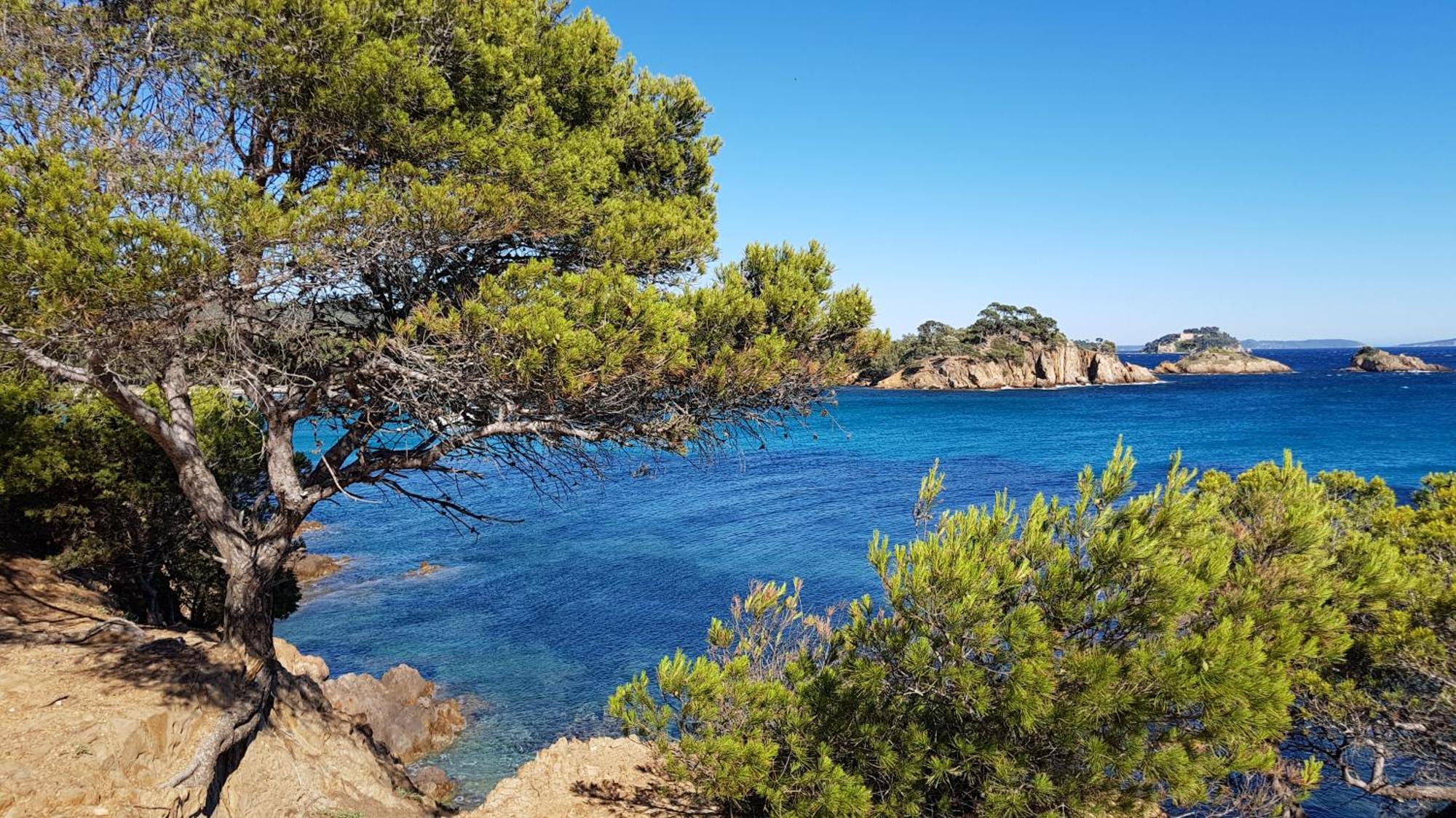 Rez De Jardin T3 Recent Et Calme Au Nouvelles Terres A La Londe Les Maures Appartement Buitenkant foto