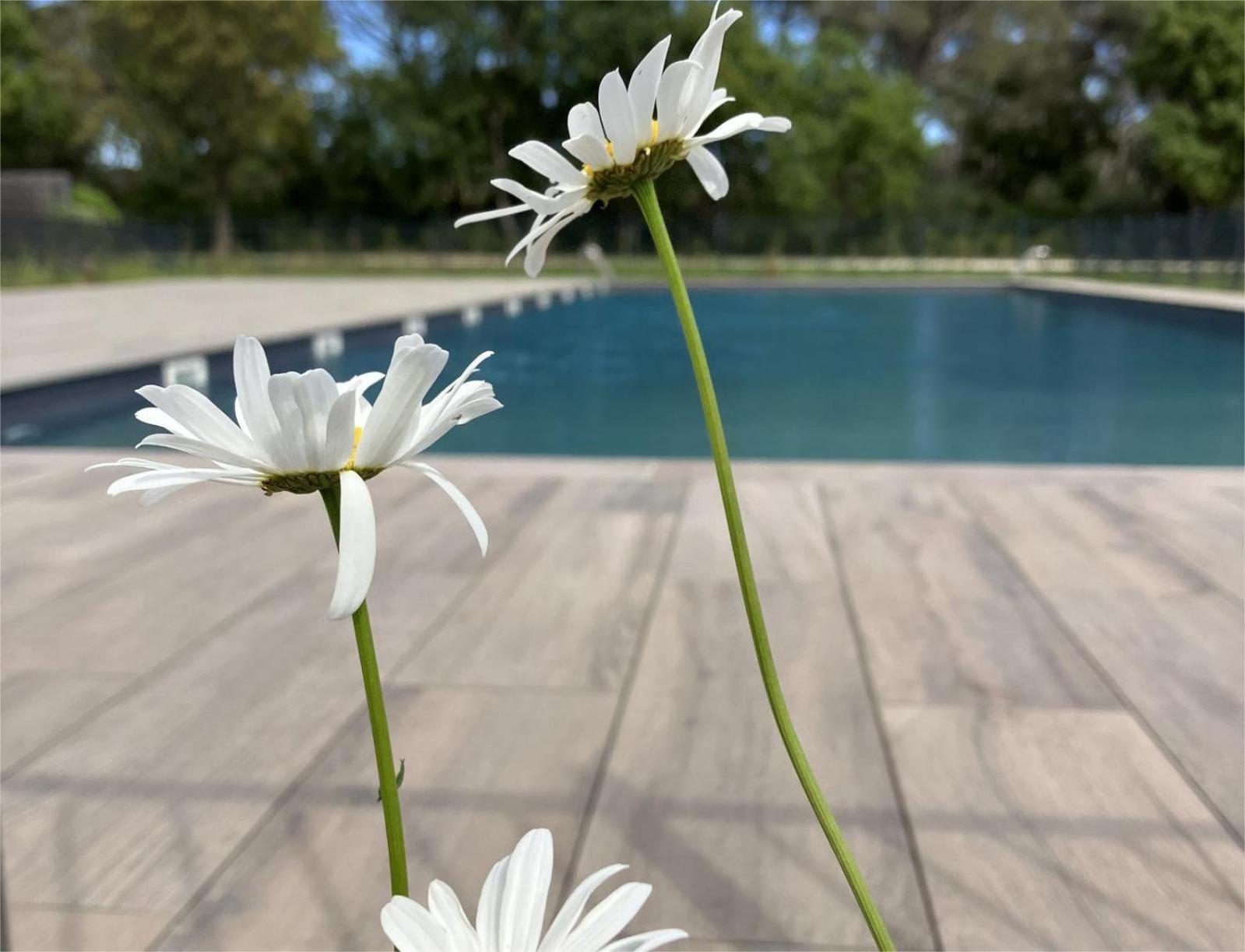 Rez De Jardin T3 Recent Et Calme Au Nouvelles Terres A La Londe Les Maures Appartement Buitenkant foto